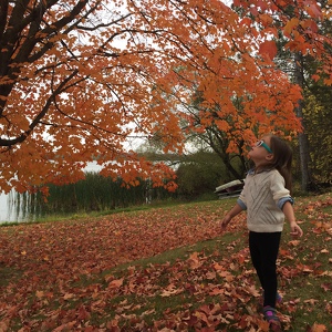 Team Page: Miss Lily's Dream Team